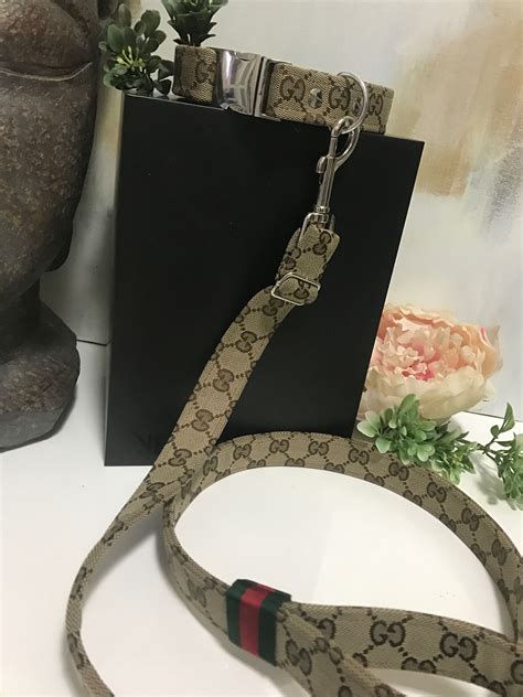 gucci bag with dog design|Gucci leash for dogs.